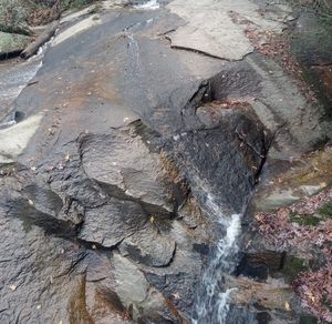 Meet your Posher, Comic